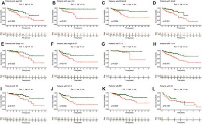 Comprehensive Analysis of Necroptosis-Related Long Noncoding RNA Immune Infiltration and Prediction of Prognosis in Patients With Colon Cancer